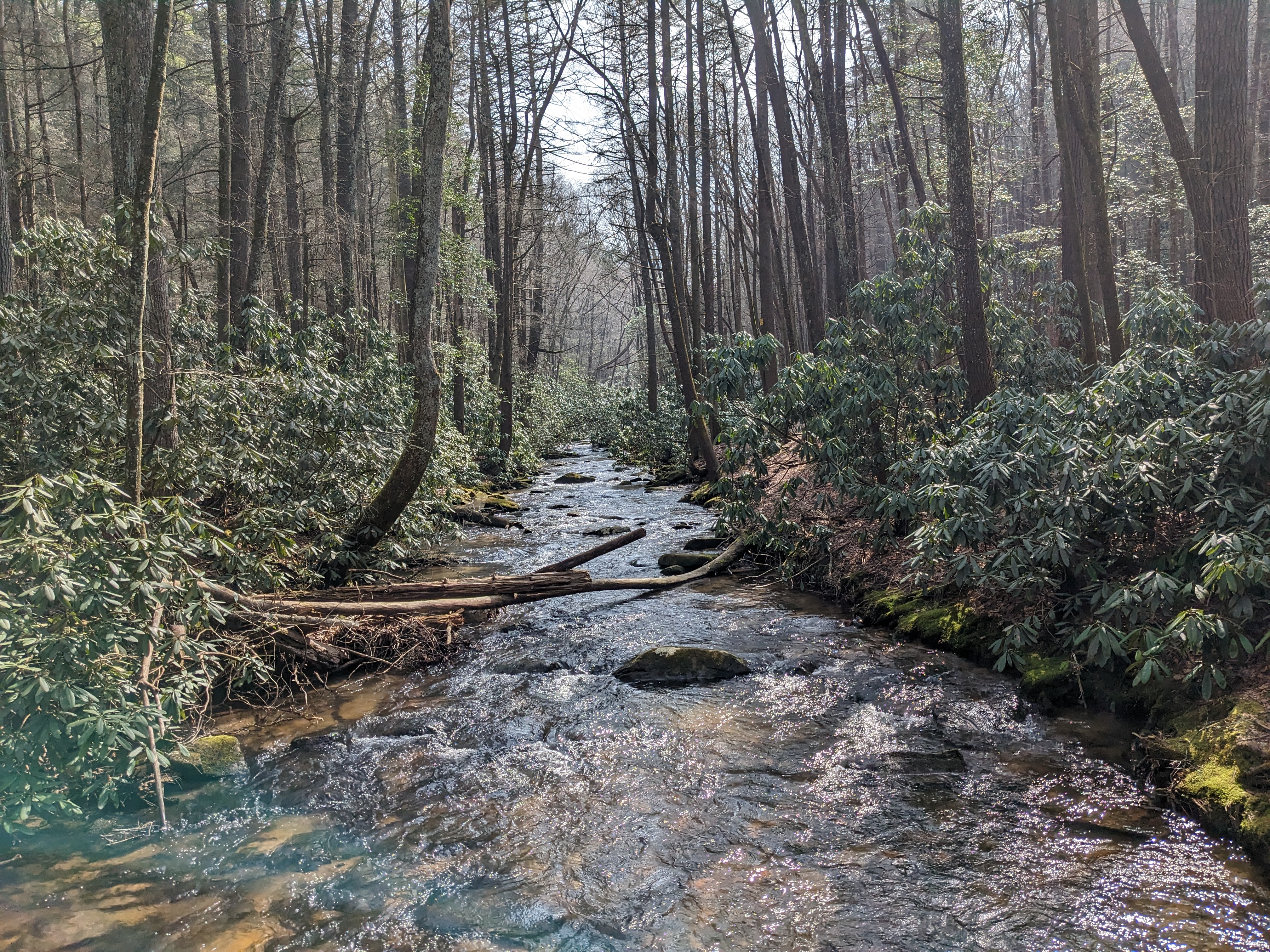 The rain pants that were three sizes too big