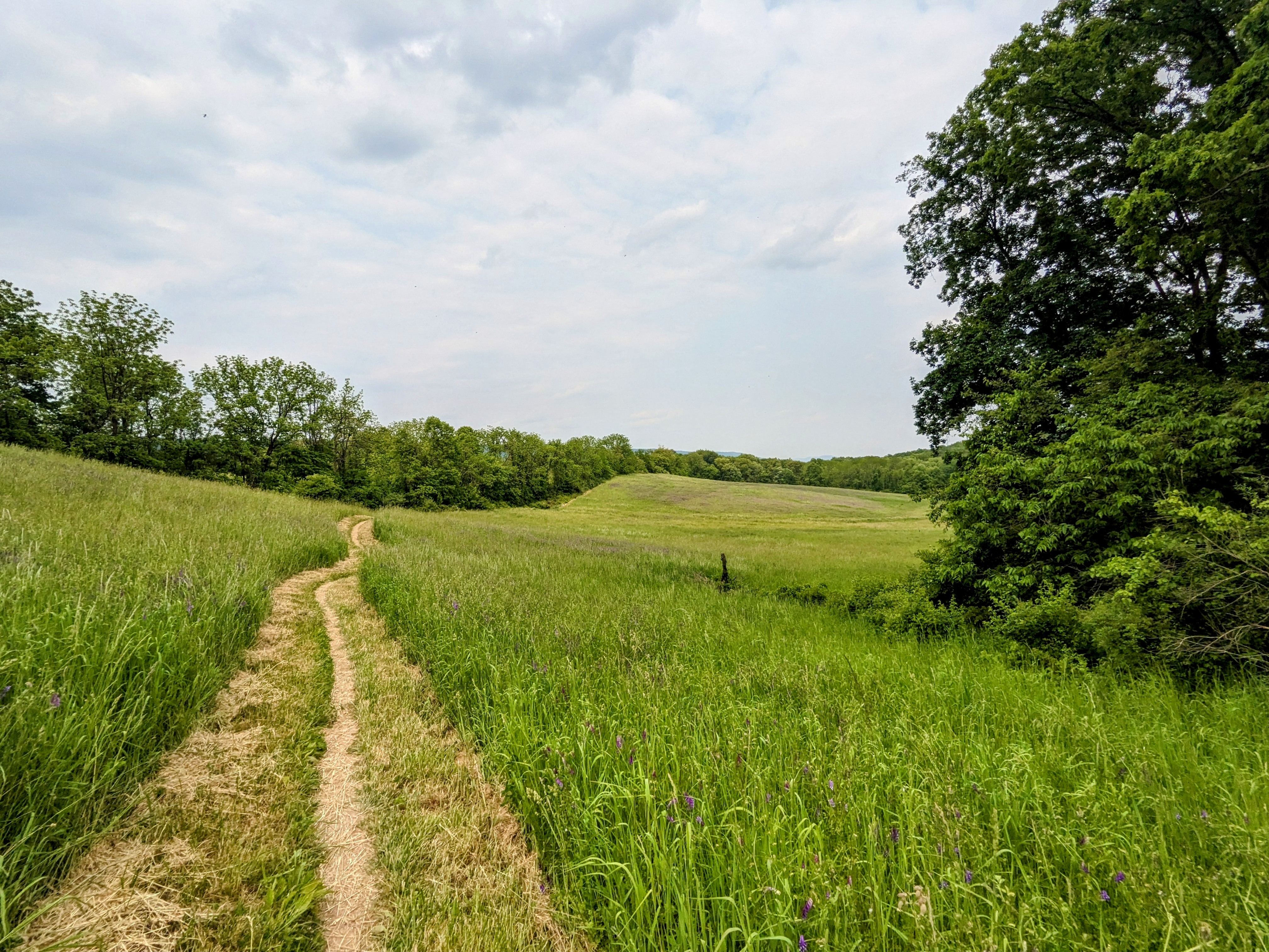 Flatsylvania: The calm before the rocks