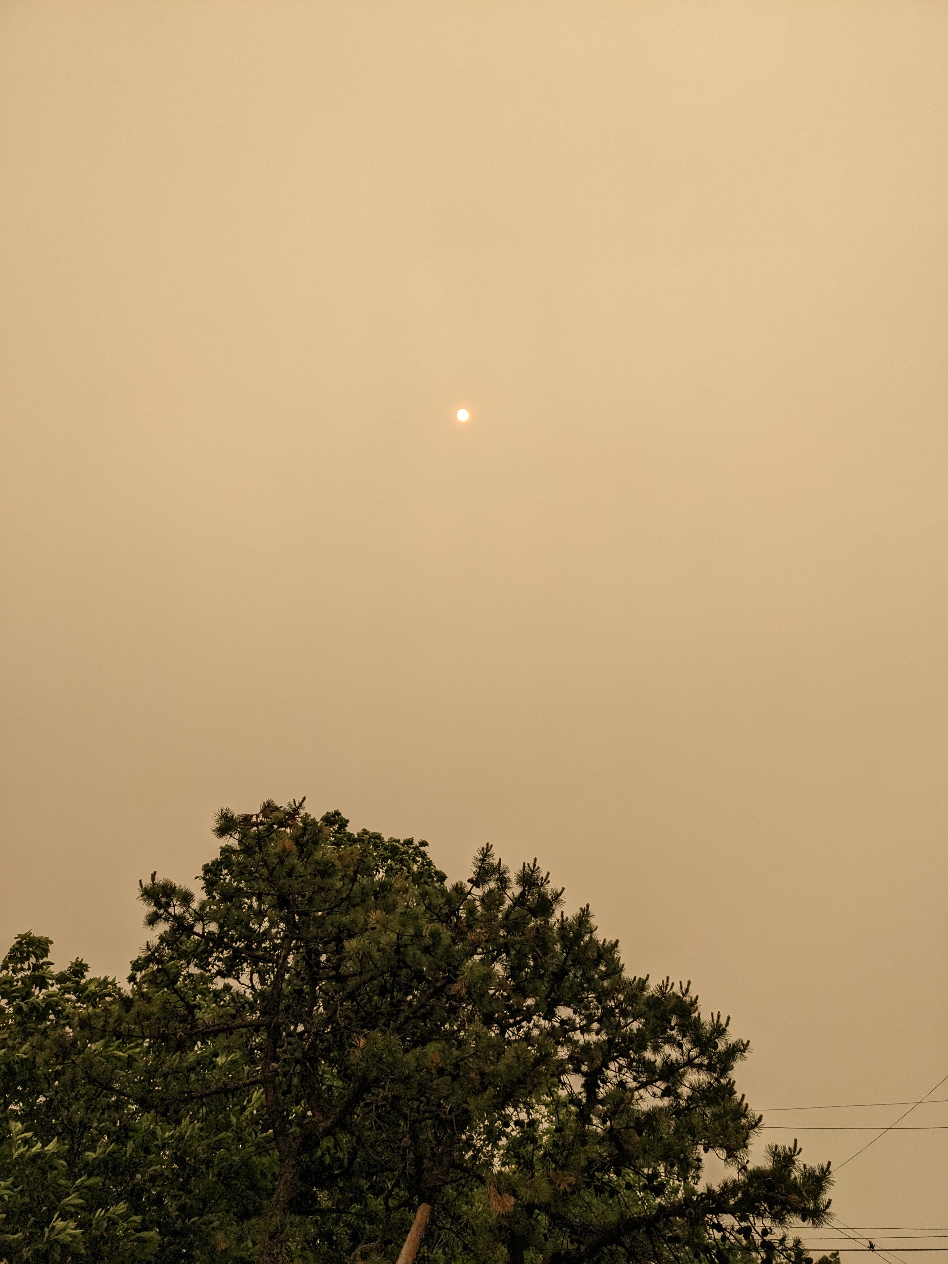 Hiking under smokey skies