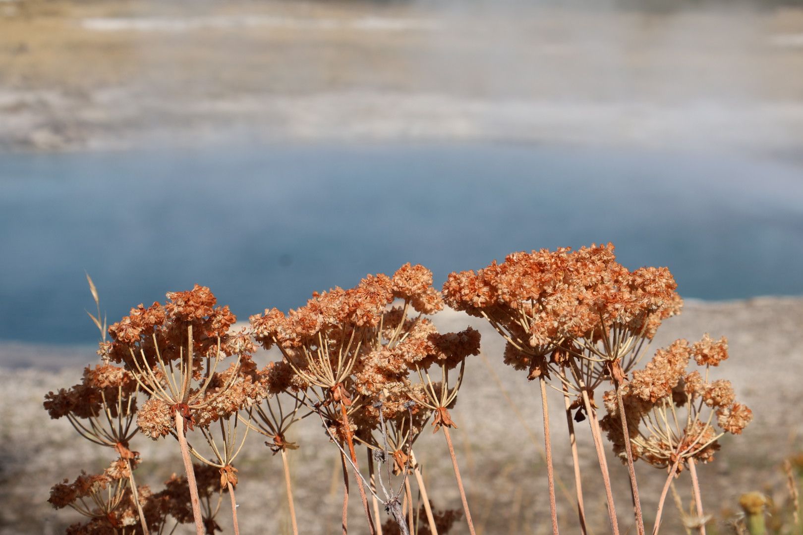 Hiking the CDT through Yellowstone National Park