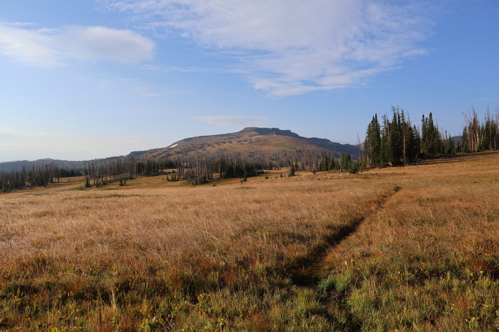 Reaching the halfway mark